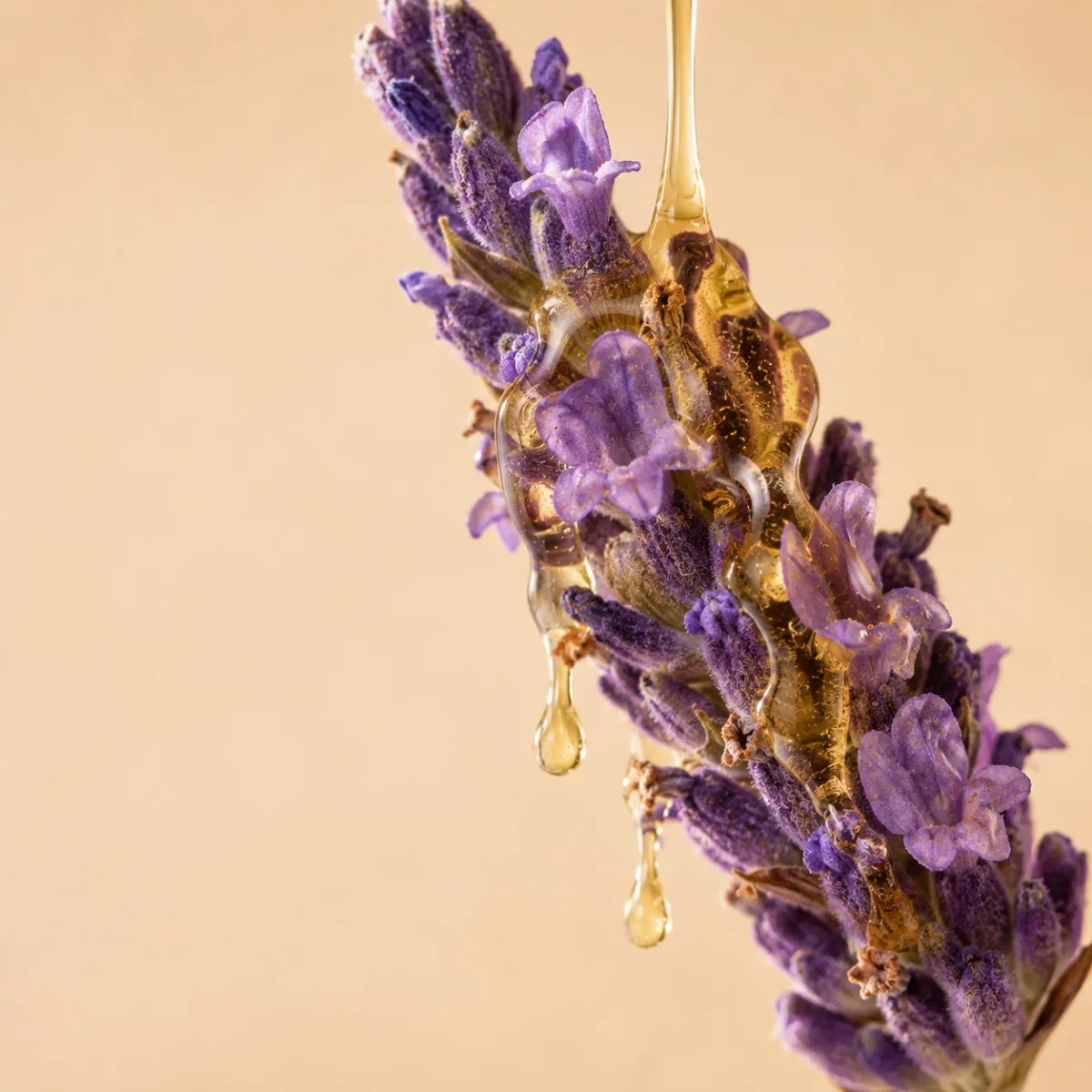 Lavender with honey