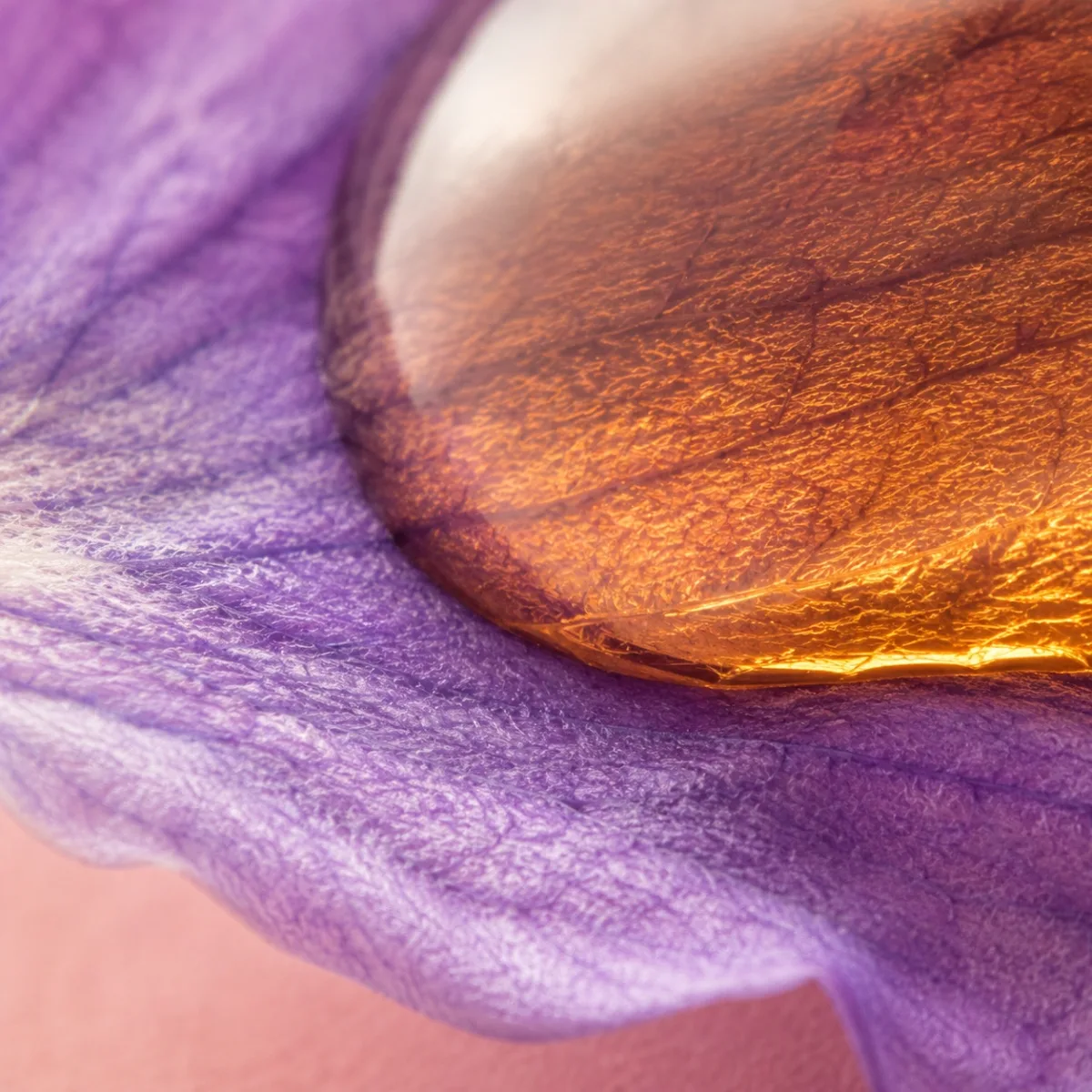 Vanilla & Violet with honey